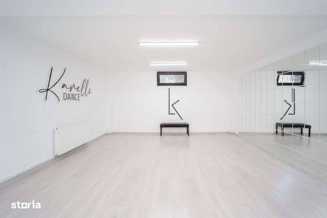 Vila Grandioasa 650 mp+Spatiu Comercial 110 mp Tatarasi Teren 968 mp-15