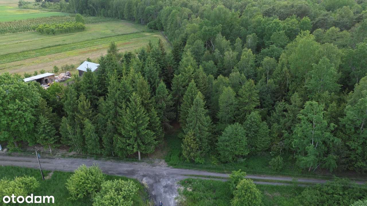 Działka leśna z WZ w pięknej okolicy-4