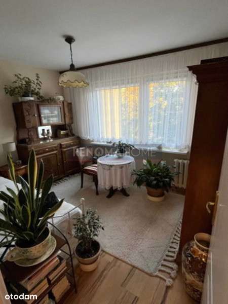 Jasne i przestronne 3-pokojowe mieszkanie - Pełny obrazek: 4/6