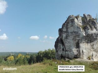 Jura działka 9927m2 ze skałką k. Góry Zborów