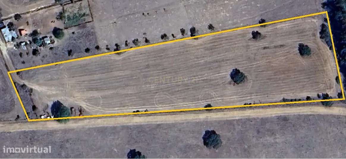 Terreno Rústico de 1,125 ha em Alcáçovas – Ideal para Agricultura, Hab - Grande imagem: 4/4