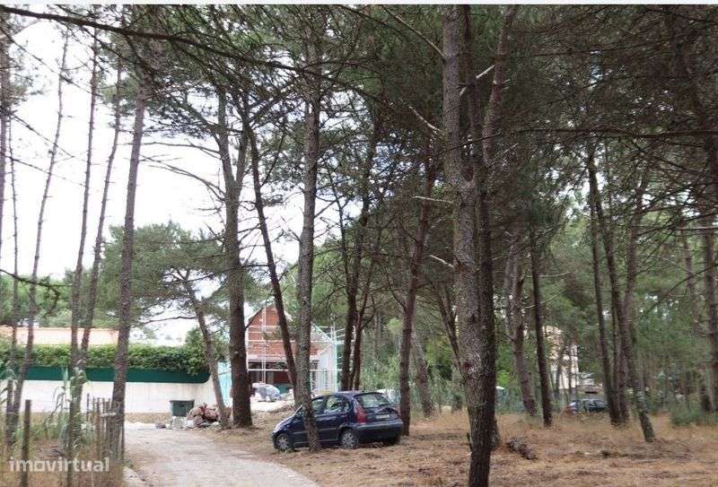 Arrendo terreno em Janas - Grande imagem: 5/9