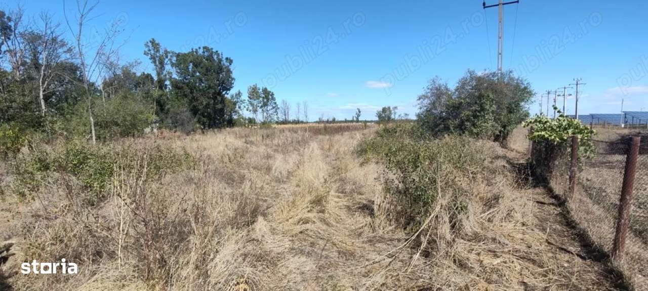 Teren intravilan 2.441 mp  – ideal casă / solar / fotovoltaice - Imagine principală: 5/6