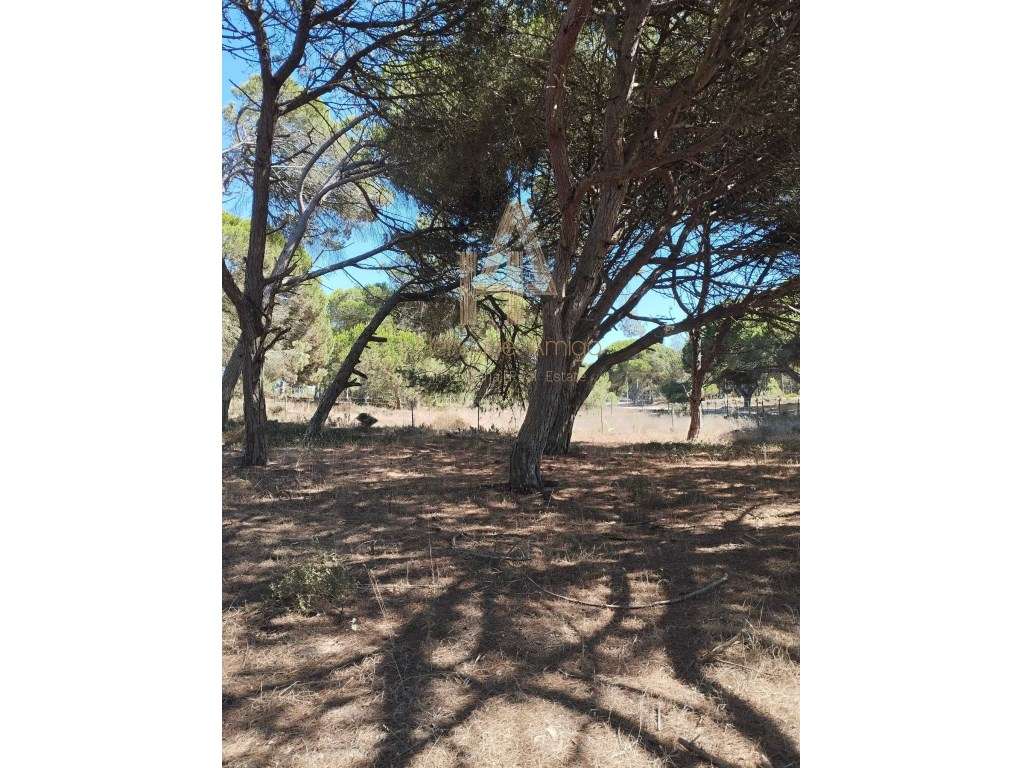 Terreno em Sesimbra - Grande imagem: 5/5