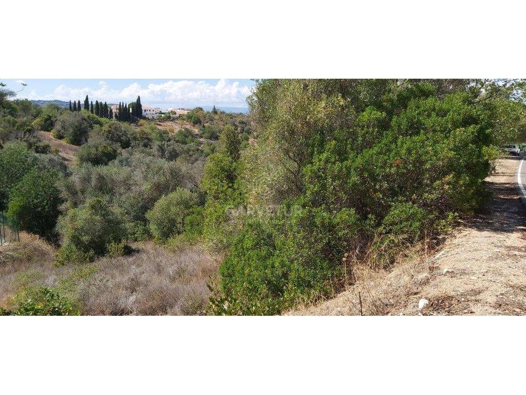 Terreno agrícola, várias culturas, Paderne, Albufeira, Algarve - Grande imagem: 5/27