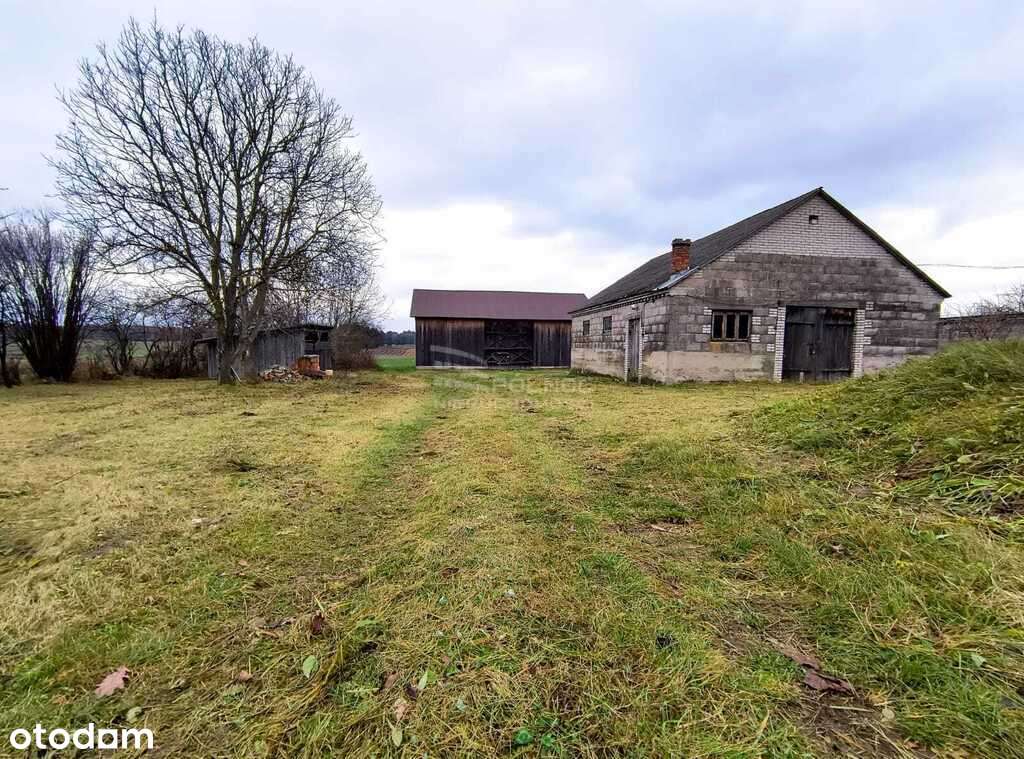 Tanie i ciche siedlisko na wsi z potencjałem - Pełny obrazek: 4/9