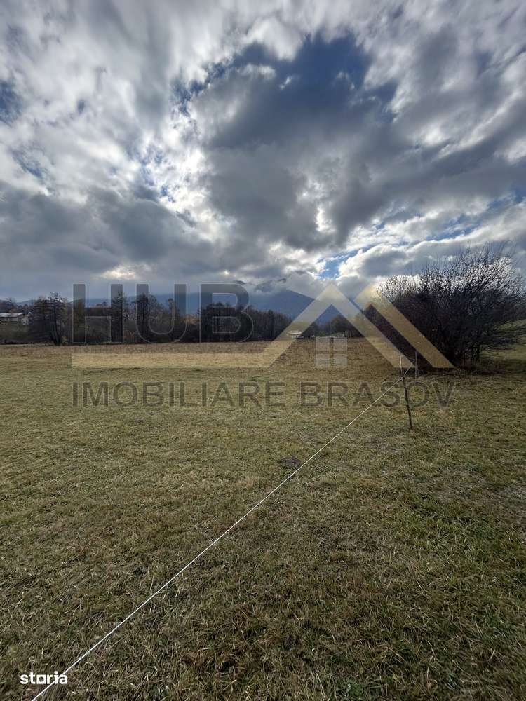 Teren Zarnesti | Tohanita | Intravilan | PUZ aprobat | Fara Utilitati-15