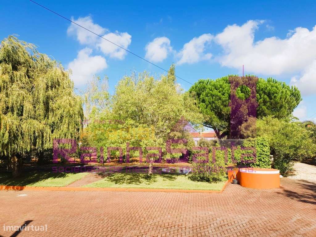 moradia M4 + 1 excelente com 1 hectare de terreno -Serra de Monteju... - Grande imagem: 4/37