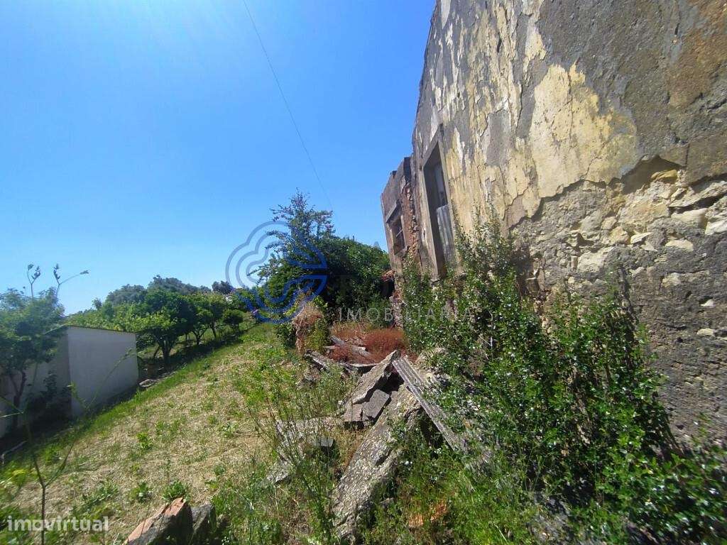 Casa em Ruína próximo da Cidade de Tomar no Centro de Portugal - Grande imagem: 4/37