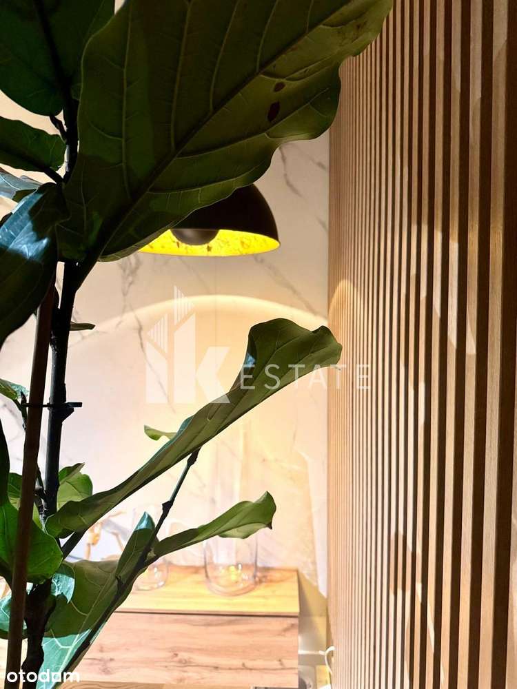 NA SPRZEDAŻ NOWOCZESNY DOM WOLNOSTOSTOJĄCY W DOBRE-5