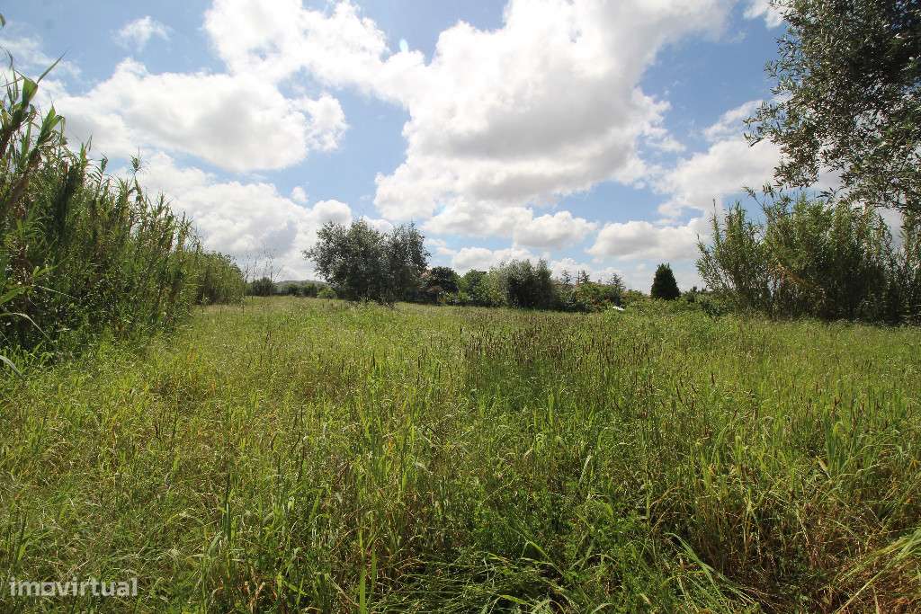 Terreno plano para construção de moradia em Ega, Condeixa-a-Nova - Grande imagem: 3/4