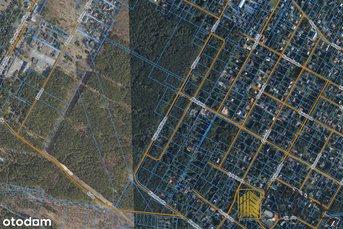 Dąbrowa Leśna | Przygotowana pod budowę | Kampinos-9