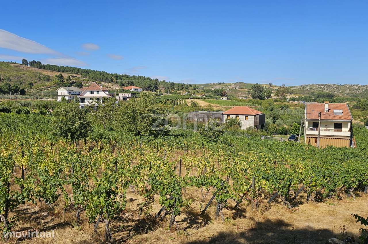 Terreno Rústico Urbanizavel – Presandães, Alijó-6