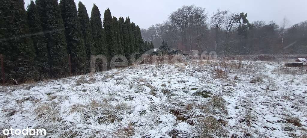 IDEALNY TEREN POD INWESTYCJĘ - Borowa - Pełny obrazek: 5/5