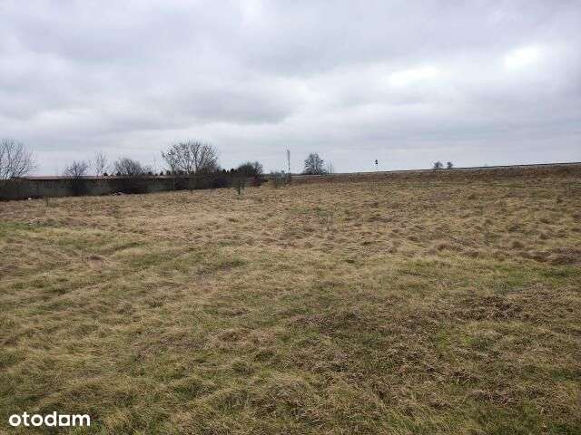 Działka rolno budowlana Raciąż, 2298m2 - Pełny obrazek: 3/5