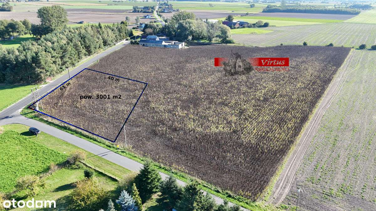 Działka budowlana w Berkowie gmina Kiszkowo - Pełny obrazek: 2/7