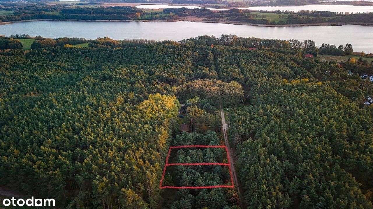 Urocza działka rekreacyjna w Osłoninie - Pełny obrazek: 1/5