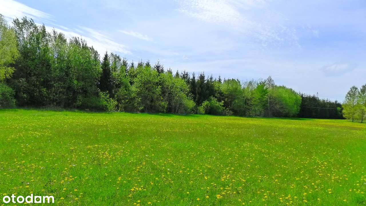 Bakałarzewo - działka budowlana koło jeziora - 35 zł/m2 - Pełny obrazek: 5/11