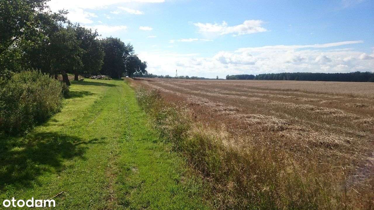 Ładne działki, las, jezioro-Nienawiszcz-PROMOCJA!!-14