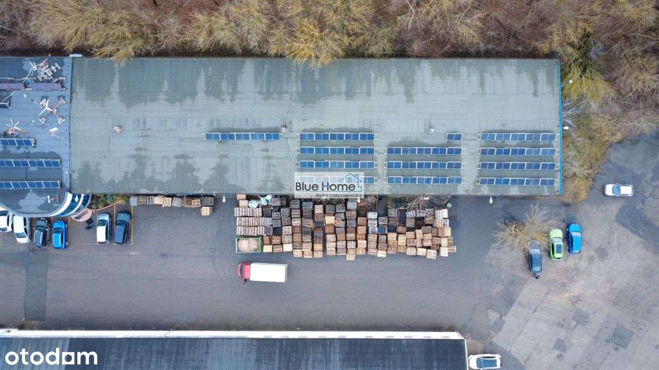 Hala magazynowo produkcyjna - Pełny obrazek: 5/14