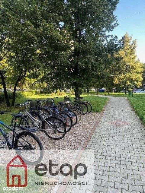 Ustawne dwa pokoje z osobną kuchnią-11