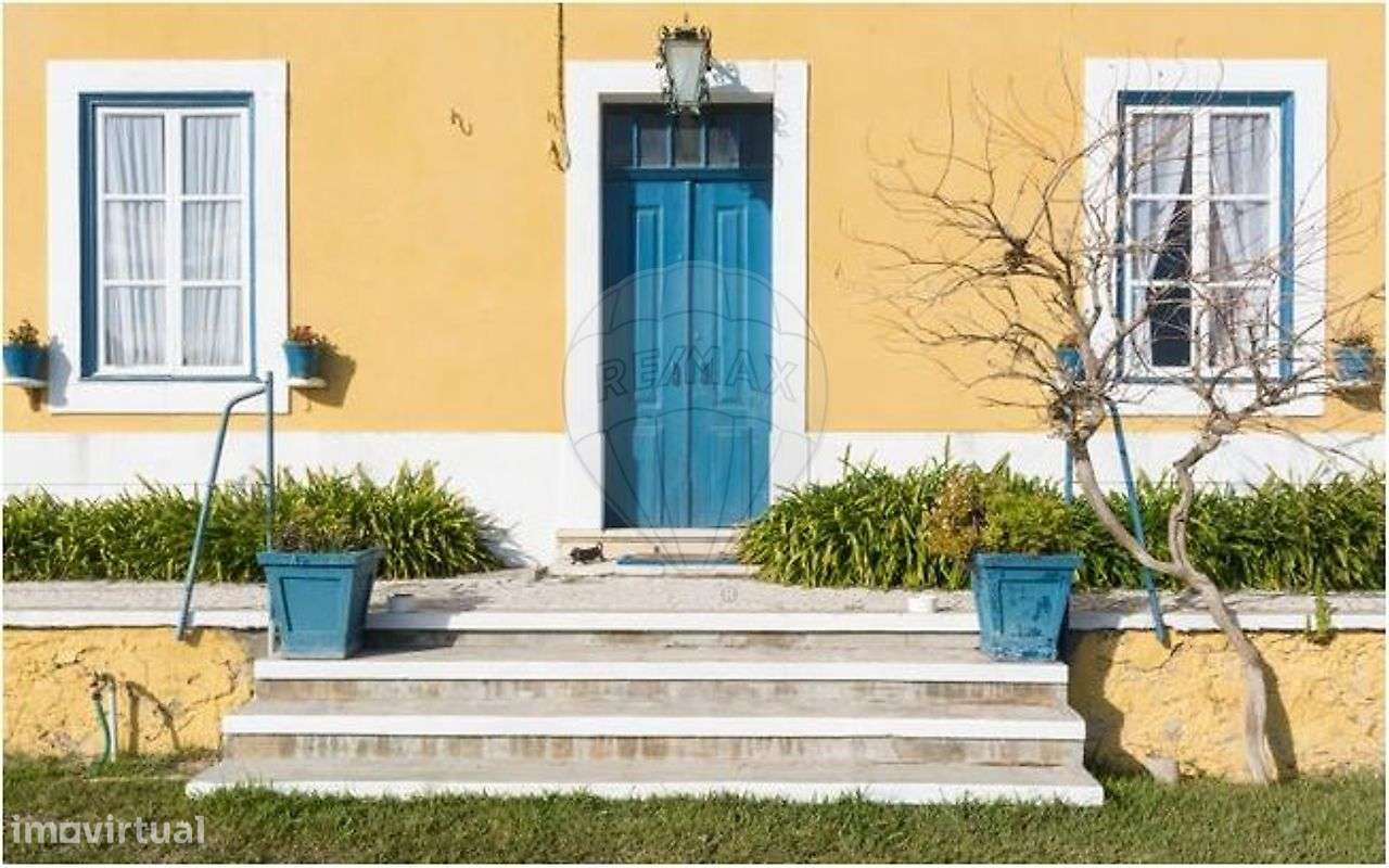 Quinta T21 para venda-35