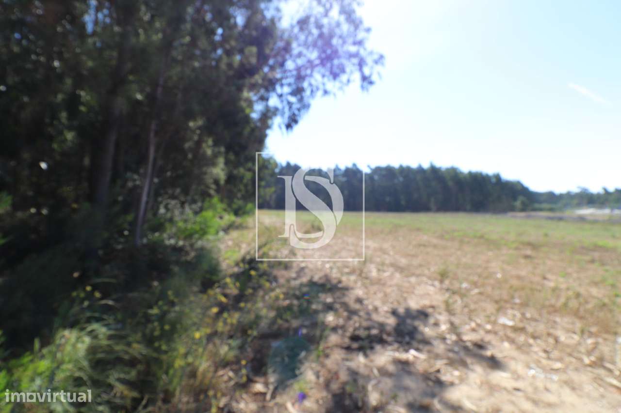 Terreno  Venda em Palmeira de Faro e Curvos,Esposende - Grande imagem: 3/4