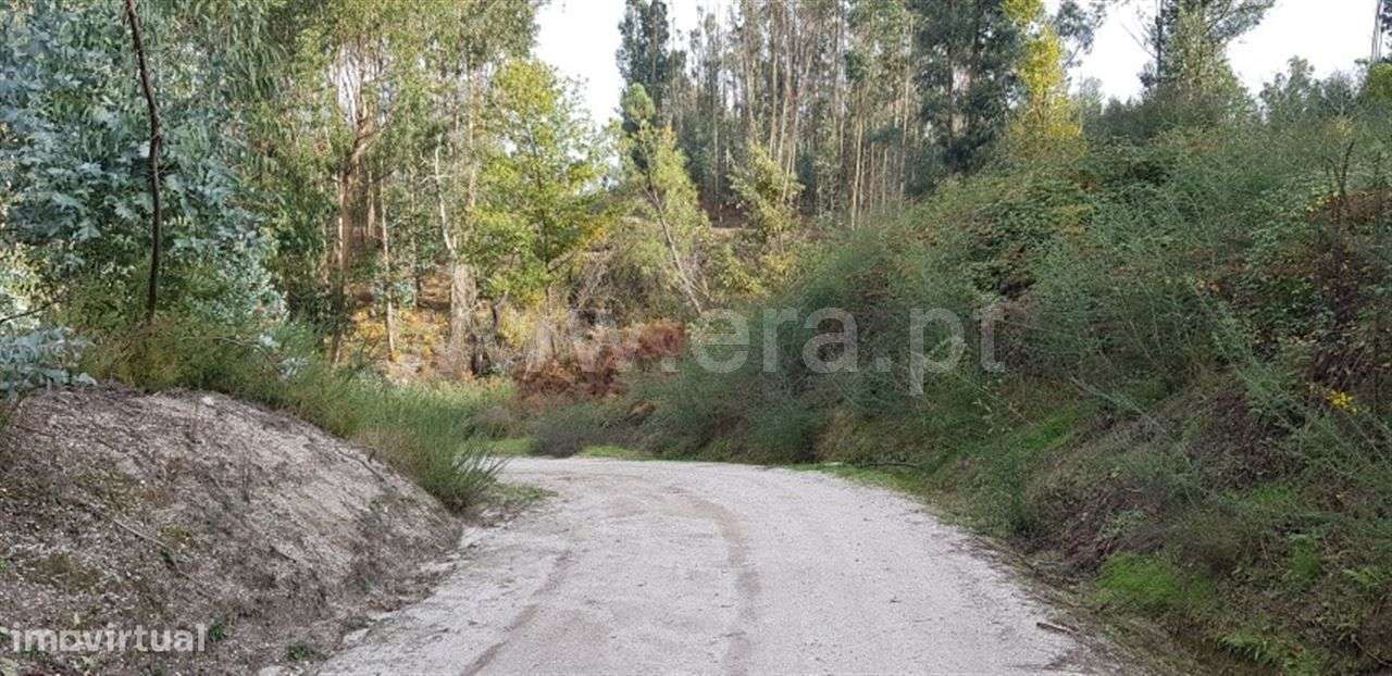 Terreno - Grande imagem: 5/6