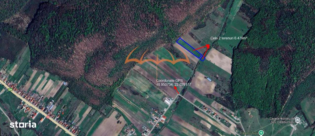 Teren de vanzare extravilan in Hidiselul de Jos - Oradea - Imagine principală: 2/3