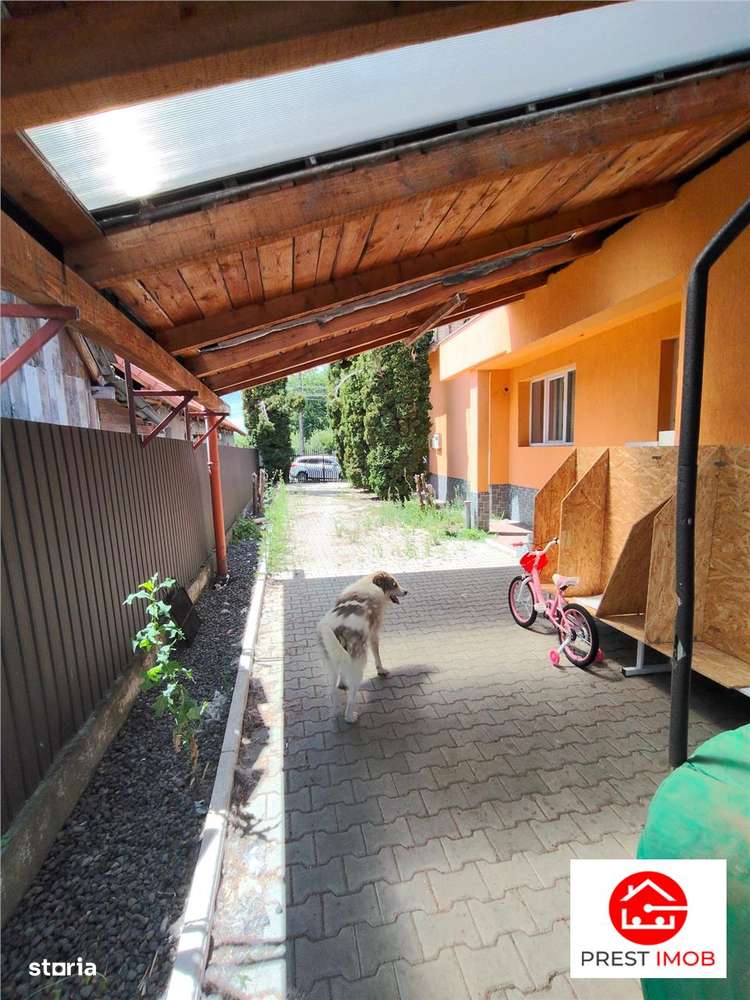 Casa si spatiu comercial de vanzare-14