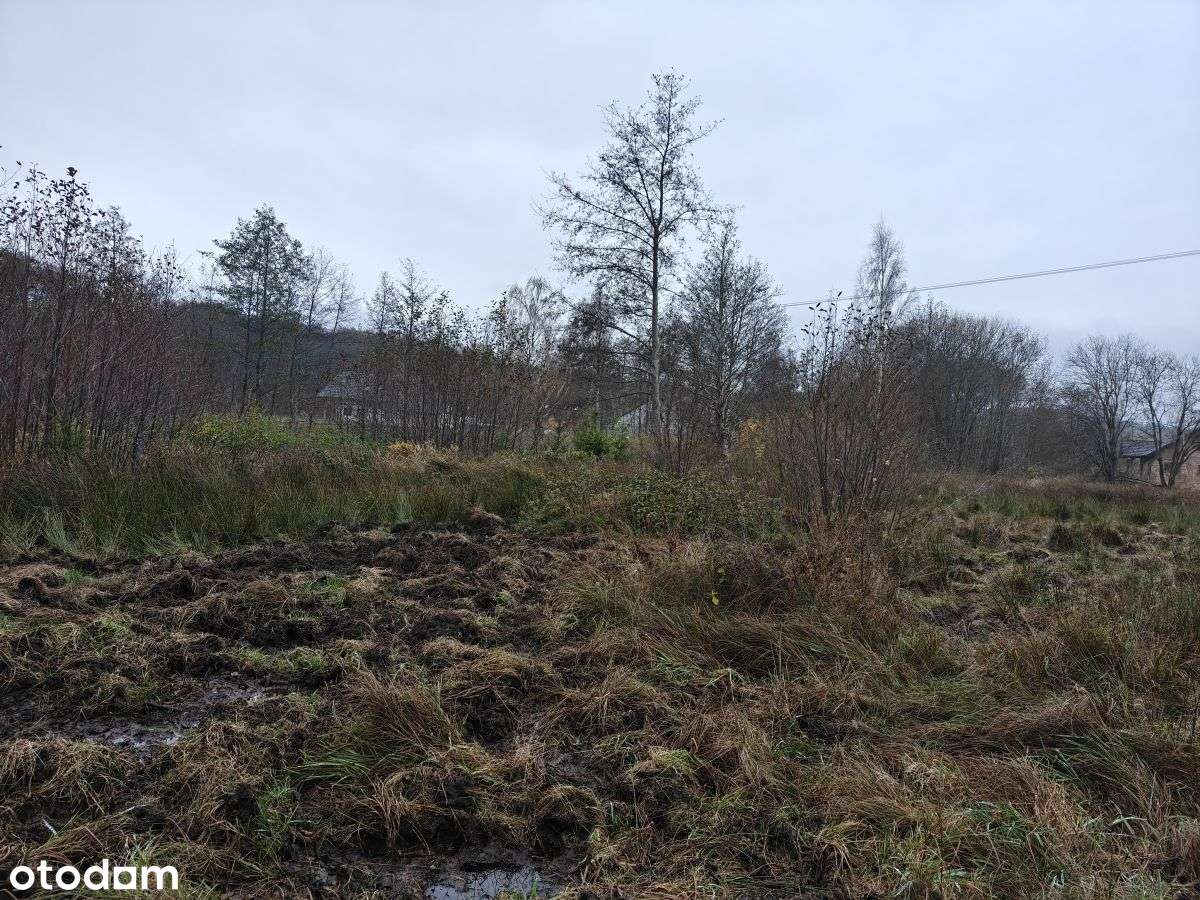 Słoneczna działka budowlana w Sasinie Jarzębinowa-9