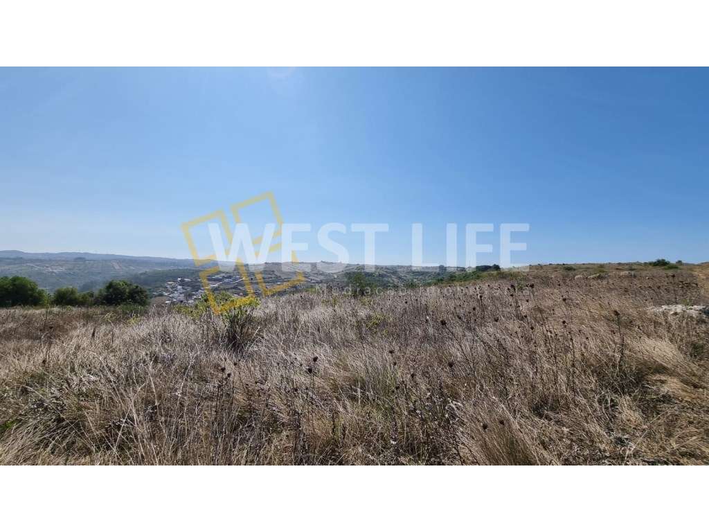 Terreno Rústico de 8840m2 em Funchal - Sintra - Grande imagem: 5/21