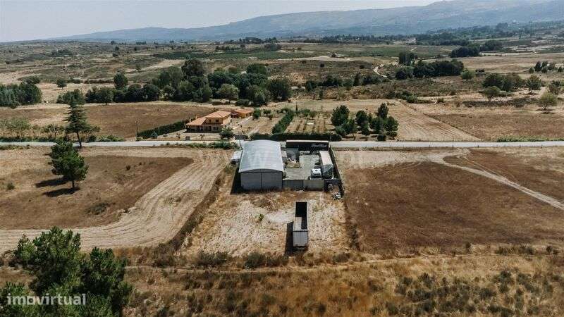 Armazém / Gouveia, Melo e Nabais - Grande imagem: 5/17