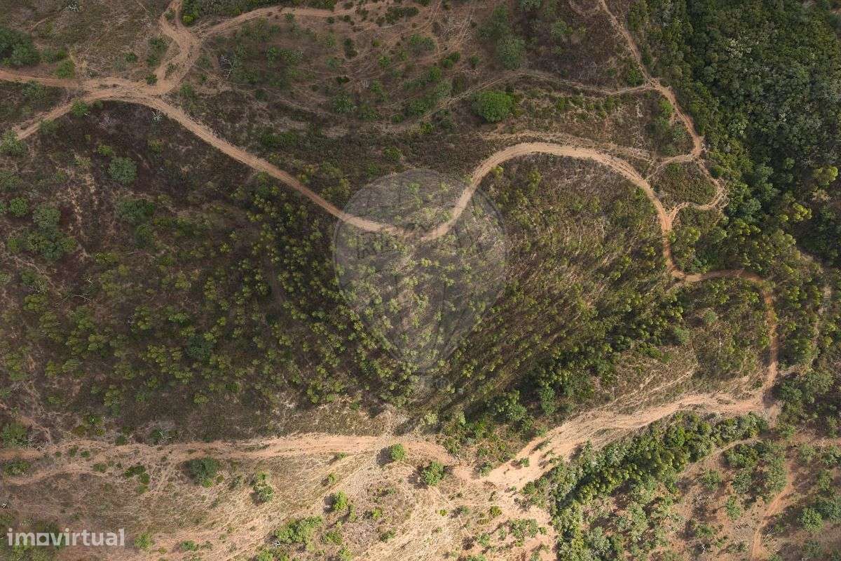 Quinta  para venda - Grande imagem: 4/44