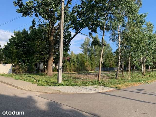 Działka z pięknym Dębem  60 km od Warszawy!!!-0