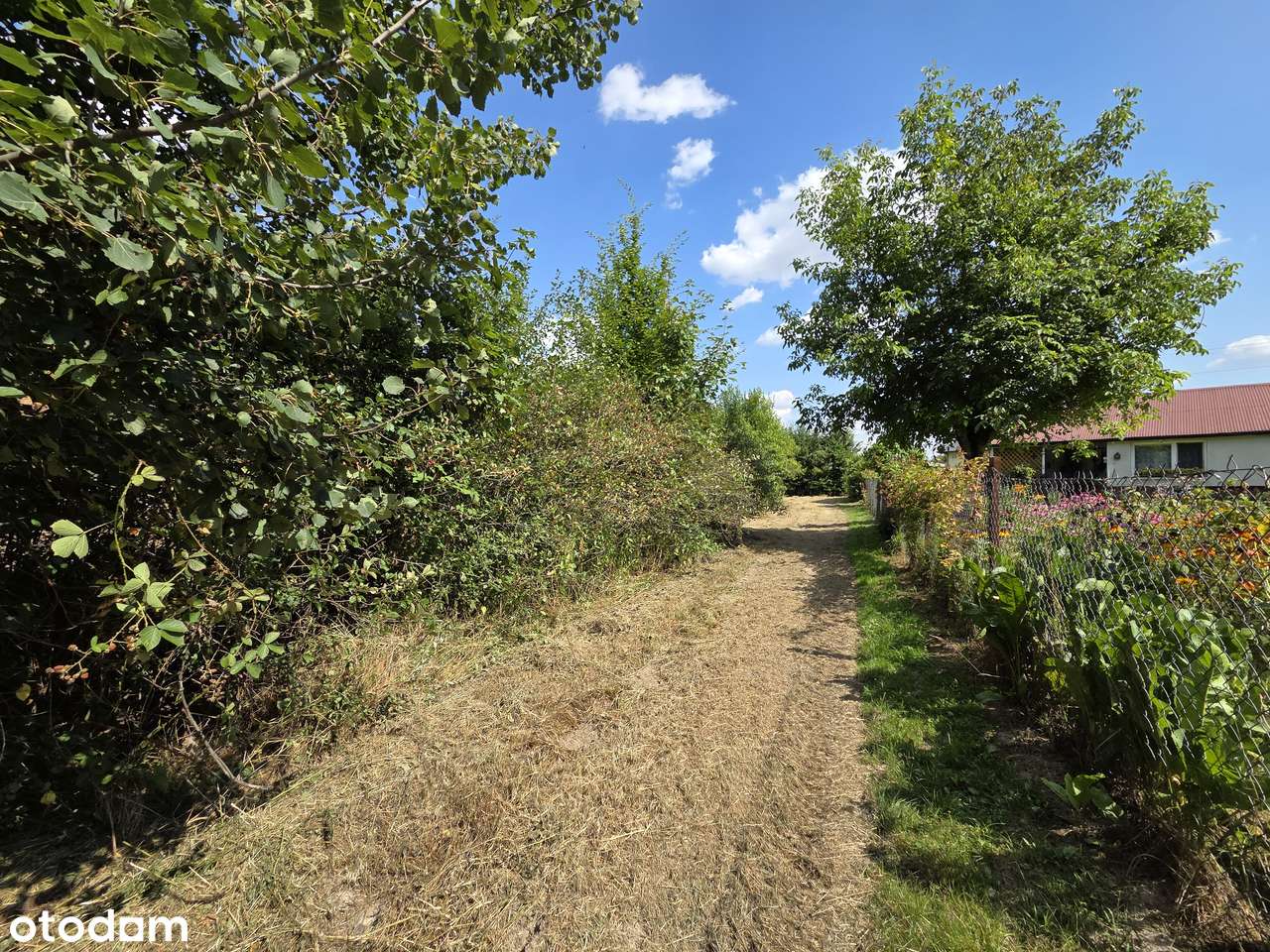 Atrakcyjna, uzbrojona działka pod budowę domu z prywatnym lasem-14