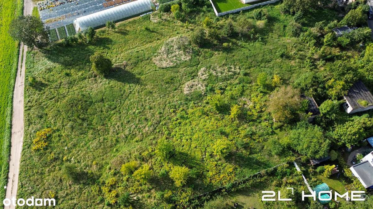 DUŻA DZIAŁKA W SPOKOJNEJ OKOLICY | TERENY ZIELONE | ---> ZOBACZ! - Pełny obrazek: 5/11