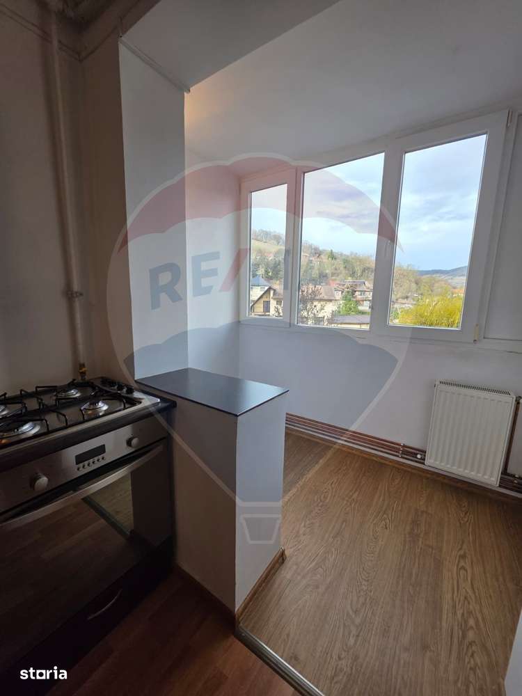 Apartament de vanzare - str. Govora, Medias-10