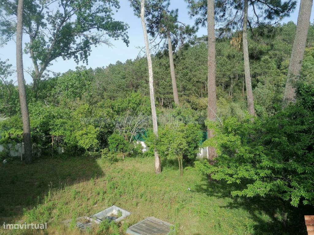 Moradia V4 com jardim relvado e piscina.-10