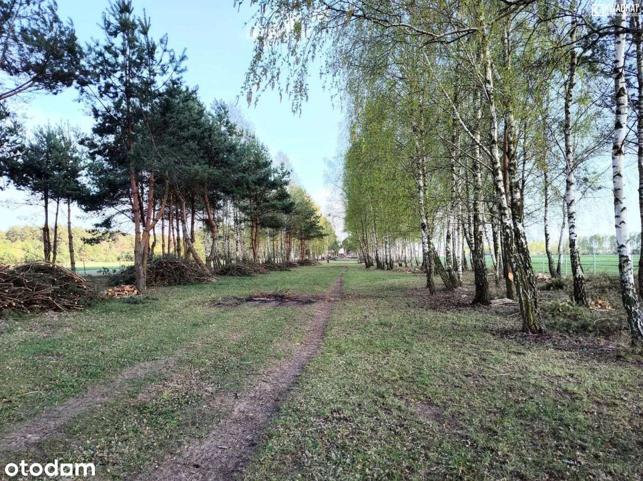 3,5ha/Ręczaje Polskie - Pełny obrazek: 5/10