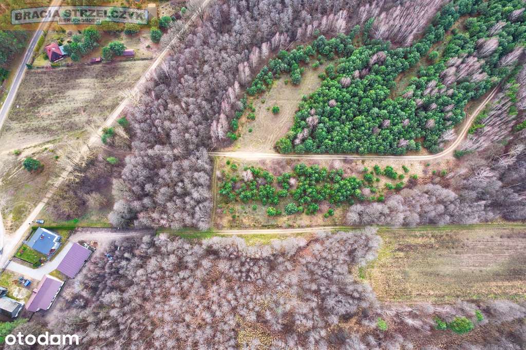 Działka 2.71 ha Puszcza Biała Zambski Kościelne - Pełny obrazek: 5/12