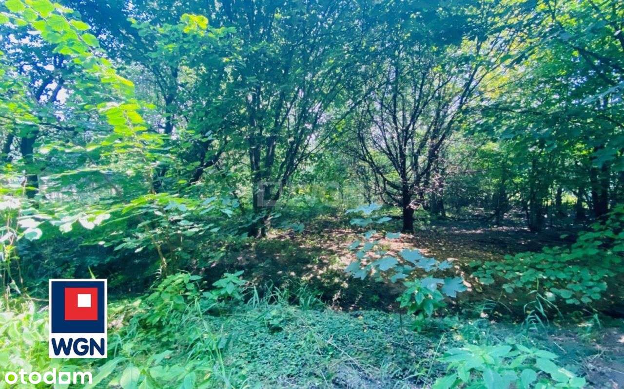 Klimatyczna działka przy lesie Kazimierz Górniczy-10