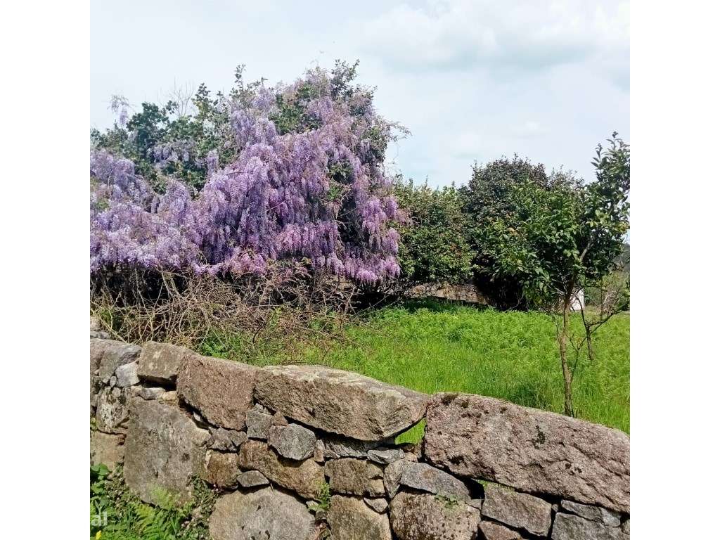 Quintinha - Grande imagem: 5/13