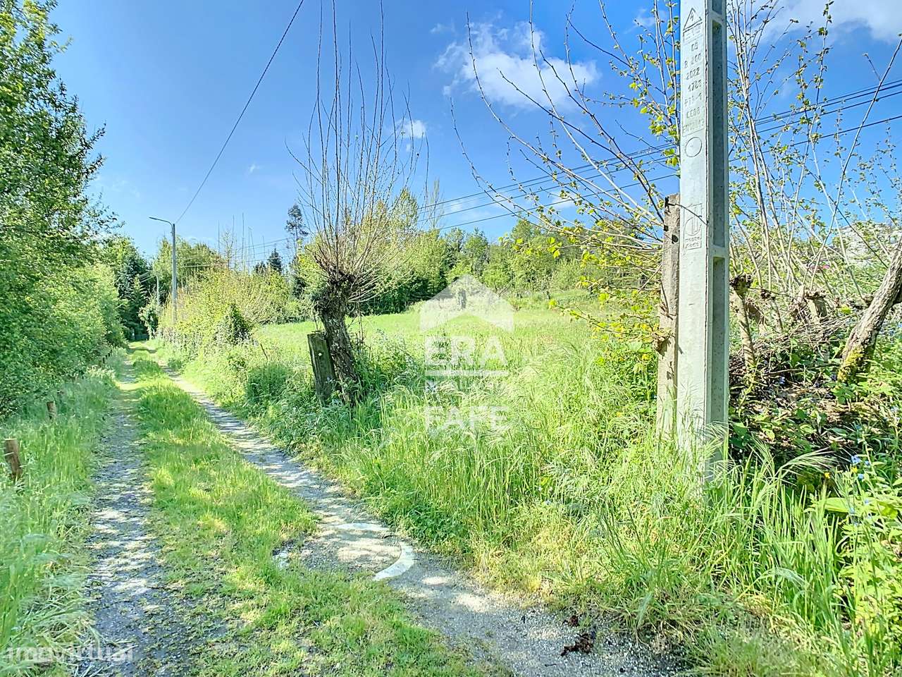 Terreno rústico em Paços, Fafe - Grande imagem: 5/9