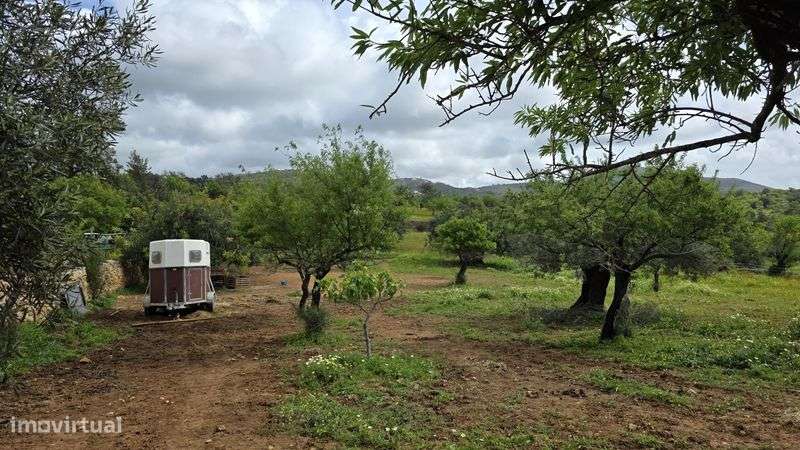 Terreno Rústico com Área Urbana – Estoi, Faro
Terreno rústico à venda - Grande imagem: 5/11