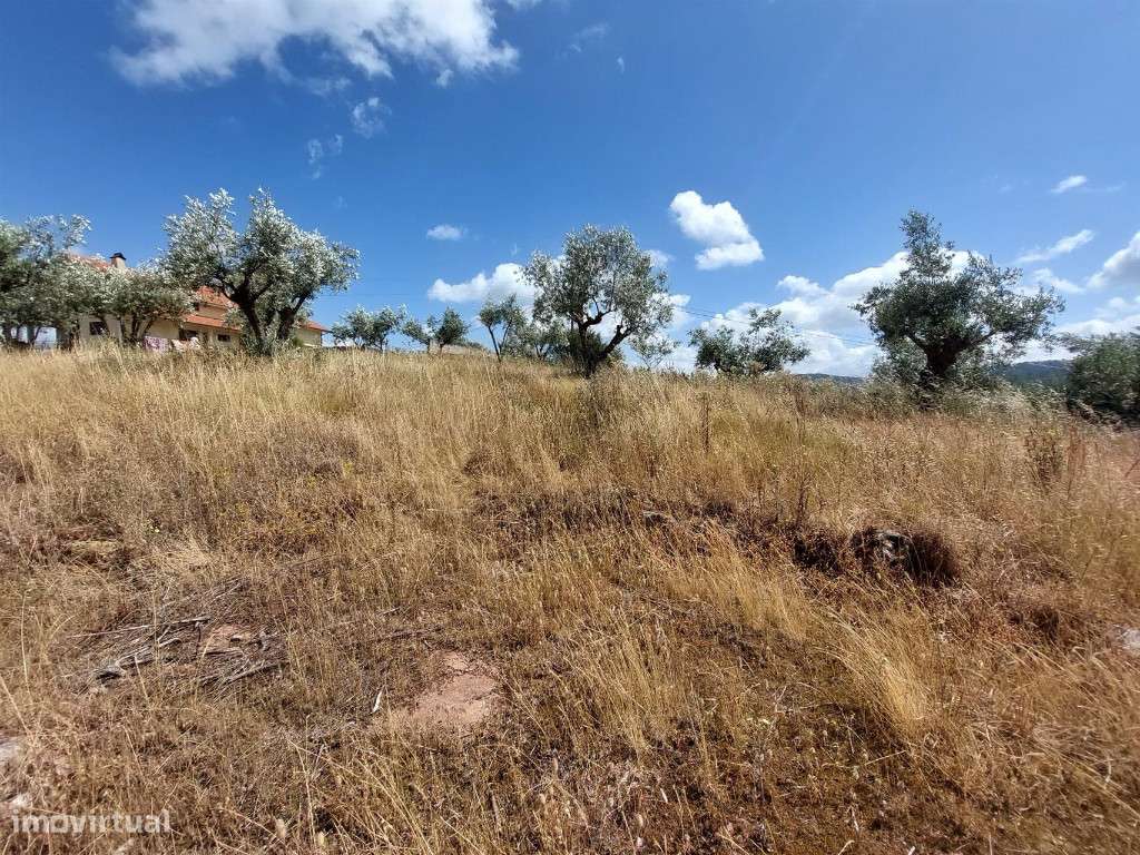 Terreno plano com capacidade construtiva - Grande imagem: 3/4