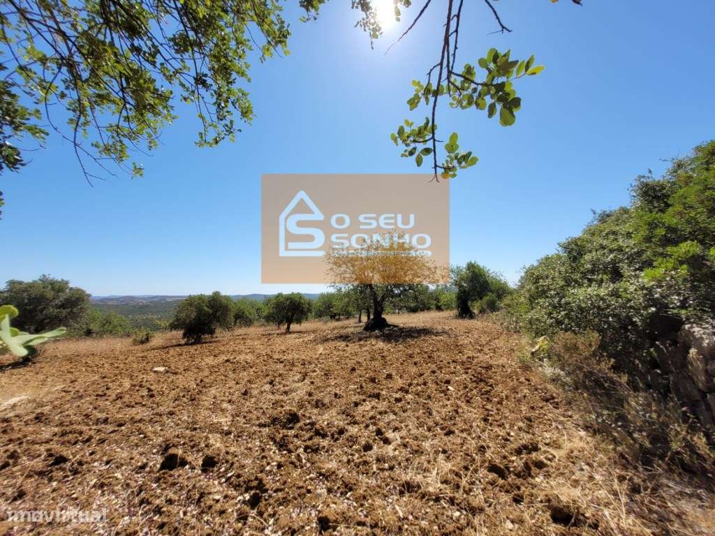 Terreno Rústico - 4.800 M² - Grande imagem: 4/11