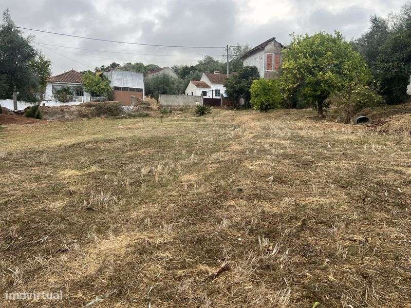 Vendo Terreno Espinheiro - Alcanena 1000m2 - Grande imagem: 4/5