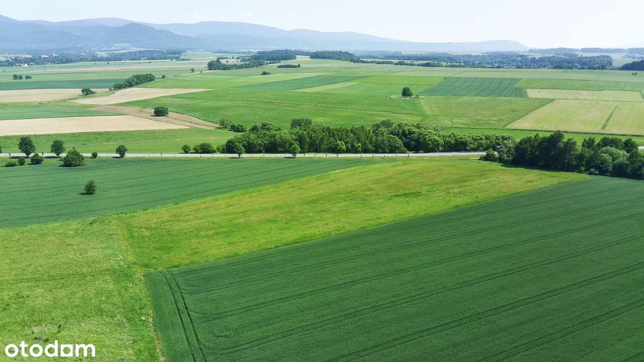 Na Sprzedaż Grunt Pod Produkcję i Usługi przy DK 33-12