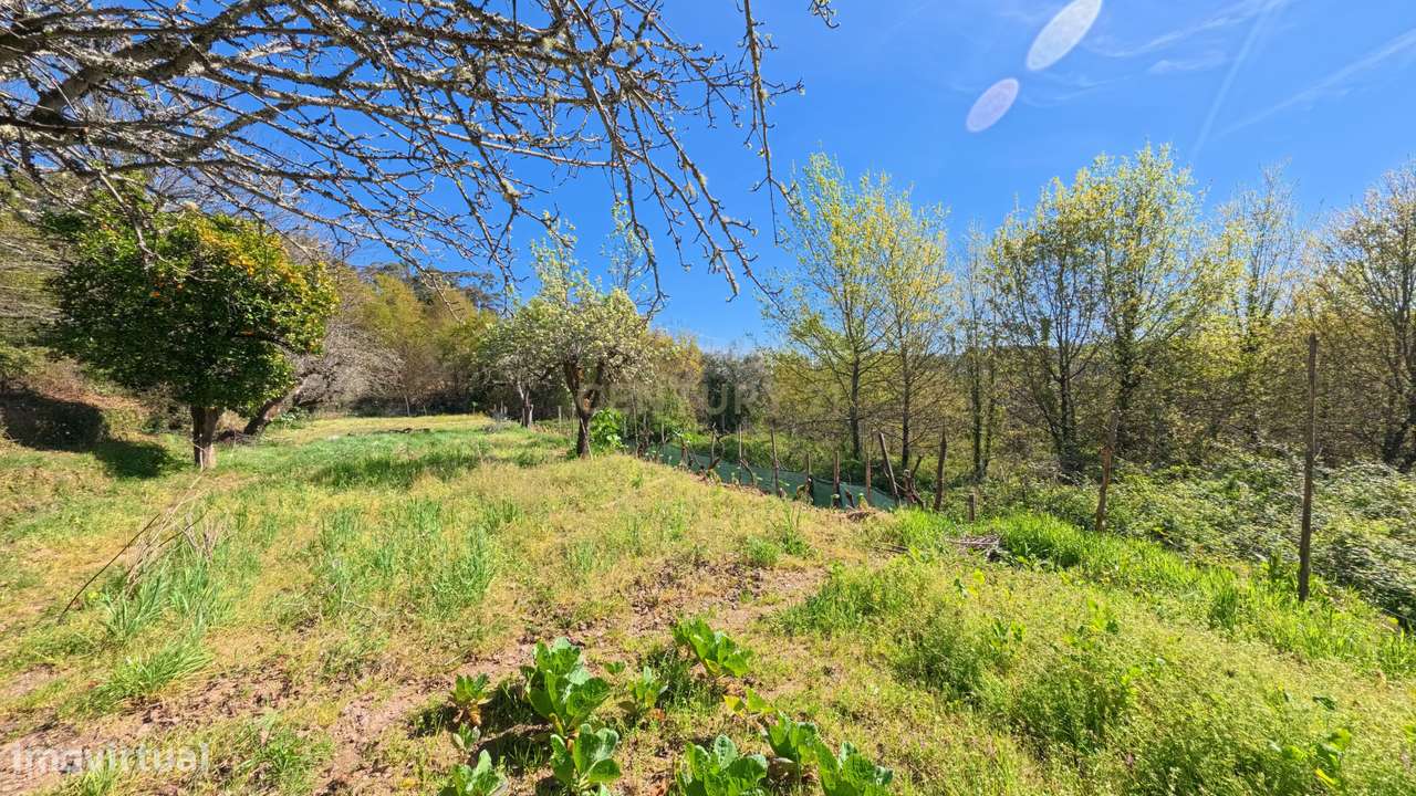 Propriedade para recuperação em Viseu-17